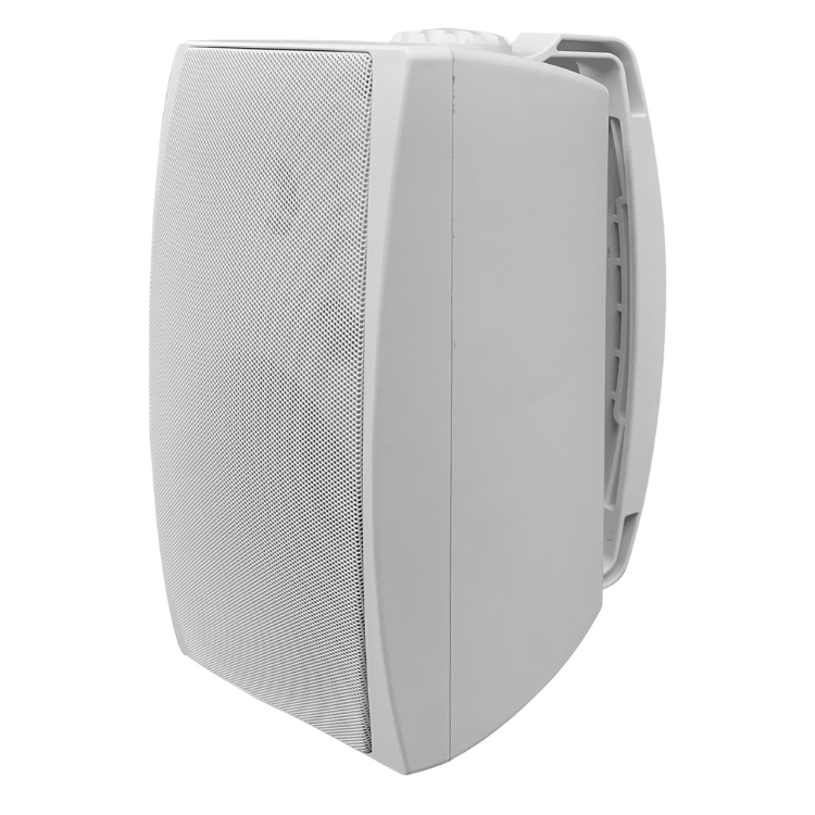 Wall mount Box Speaker BS6130 image
